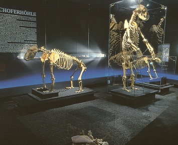 30_ausstellung